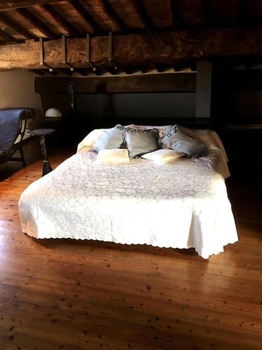 Romantic Studio In The Historical Heart Of Padua Exterior foto